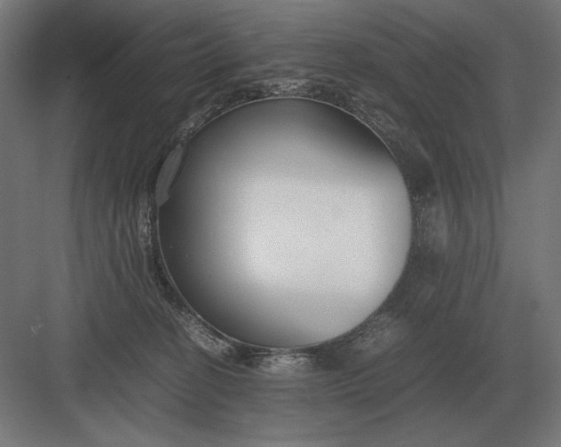 X0000083000274200702160057