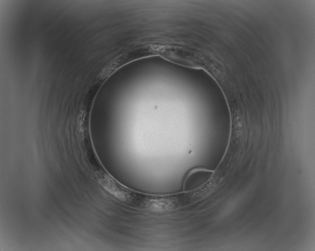 X0000083000275200702160057