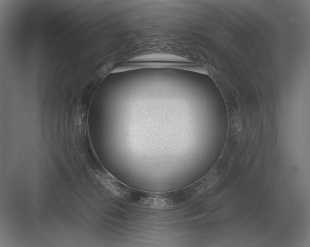 X0000083000276200702160057