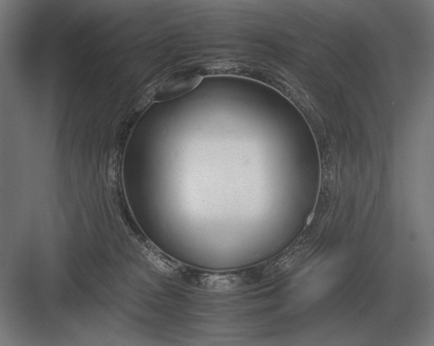 X0000083000277200702160057