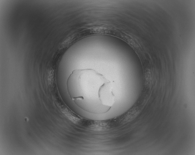 X0000083000278200702160057