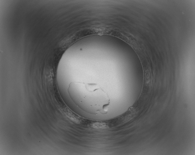 X0000083000279200702160057