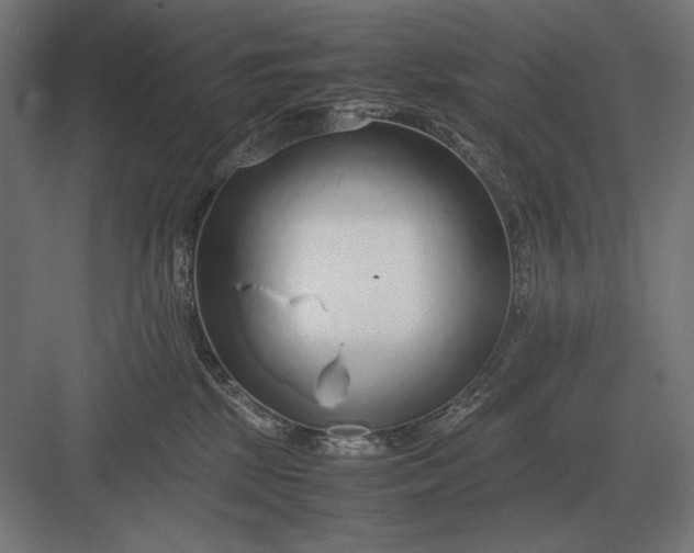 X0000083000281200702160057