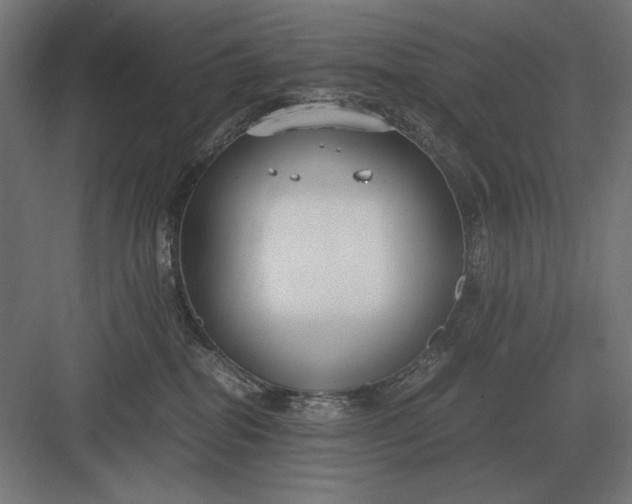 X0000083000282200702160057