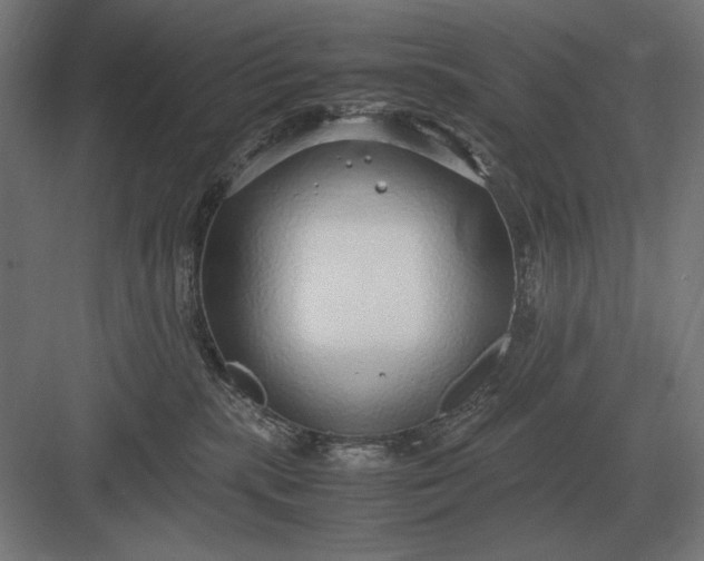 X0000083000283200702160057