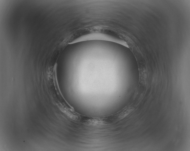 X0000083000284200702160057