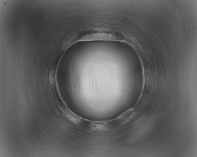 X0000083000285200702160057