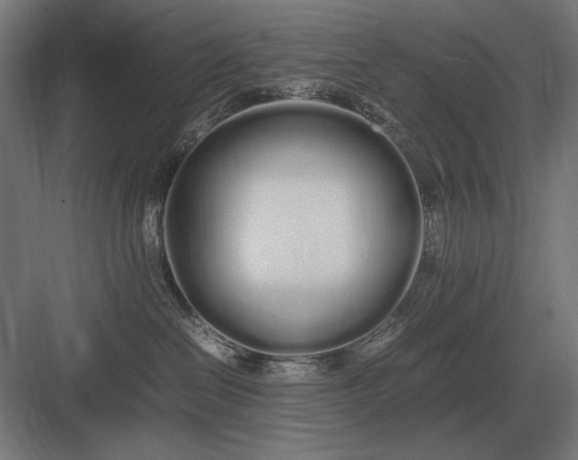 X0000083000286200702160057