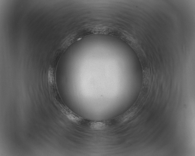 X0000083000287200702160057