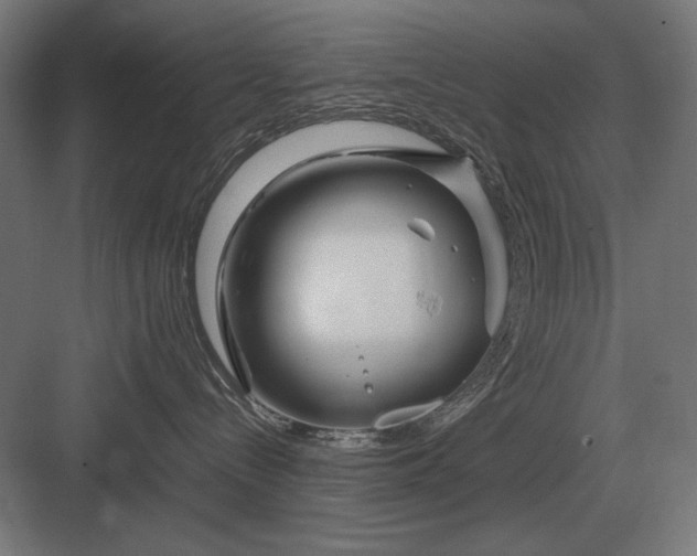 X0000083000288200702160057