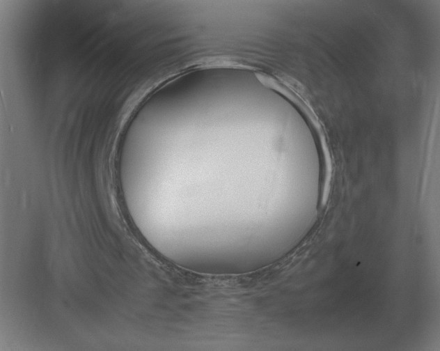 X0000083000289200702160056