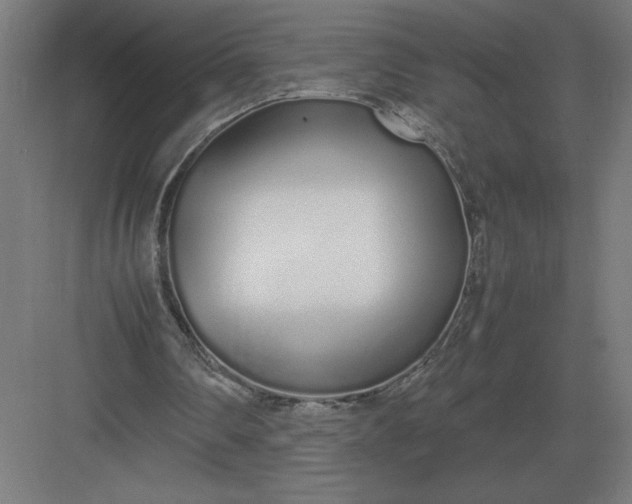 X0000083000290200702160056