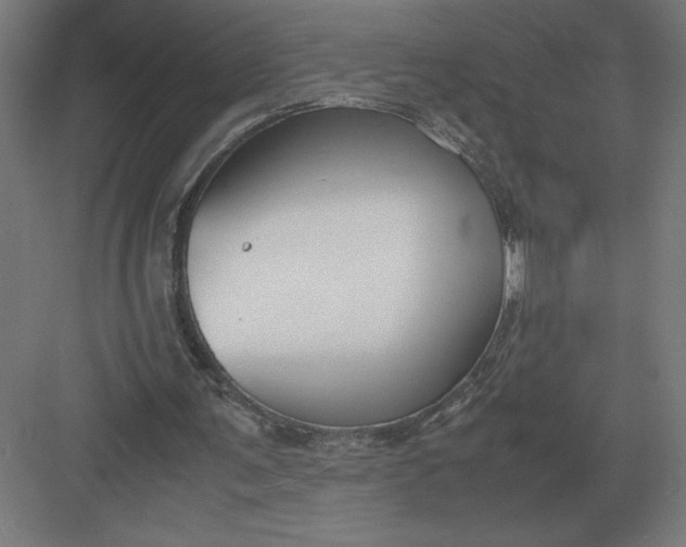 X0000083000291200702160056