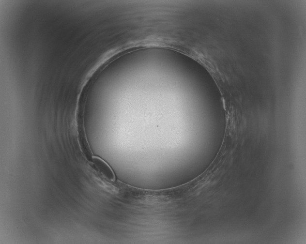 X0000083000292200702160056