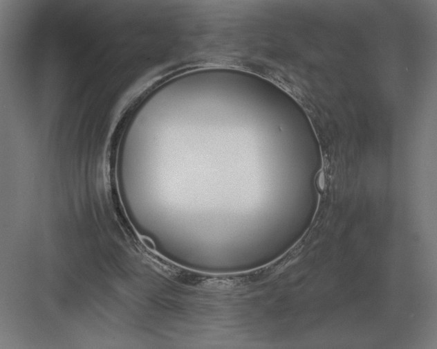 X0000083000294200702160056