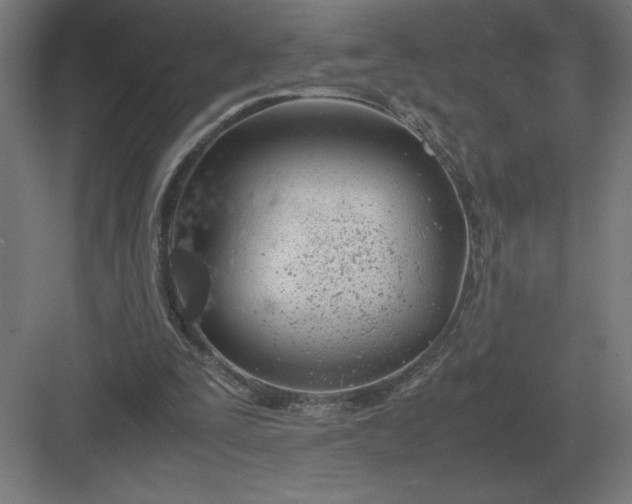 X0000083000295200702160056