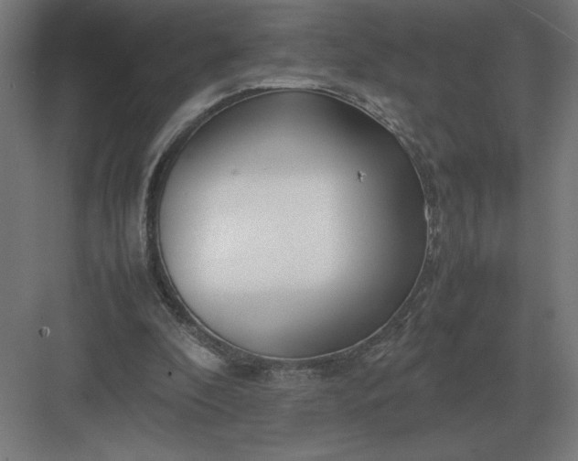 X0000083000296200702160056