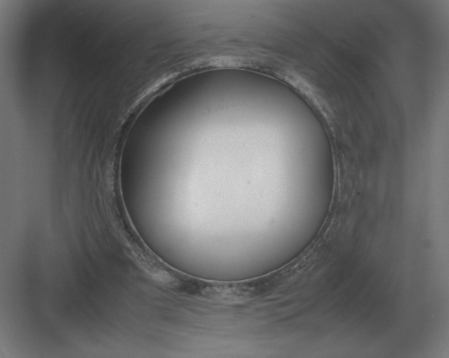 X0000083000297200702160056