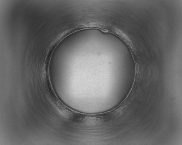 X0000083000298200702160056