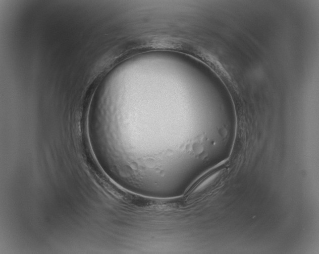 X0000083000299200702160056