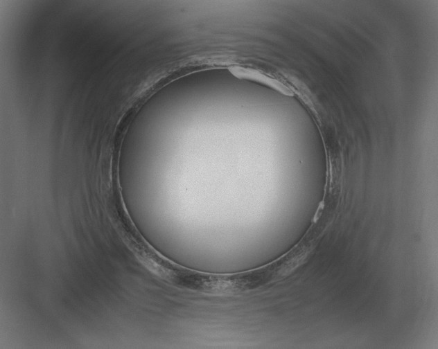 X0000083000301200702160056