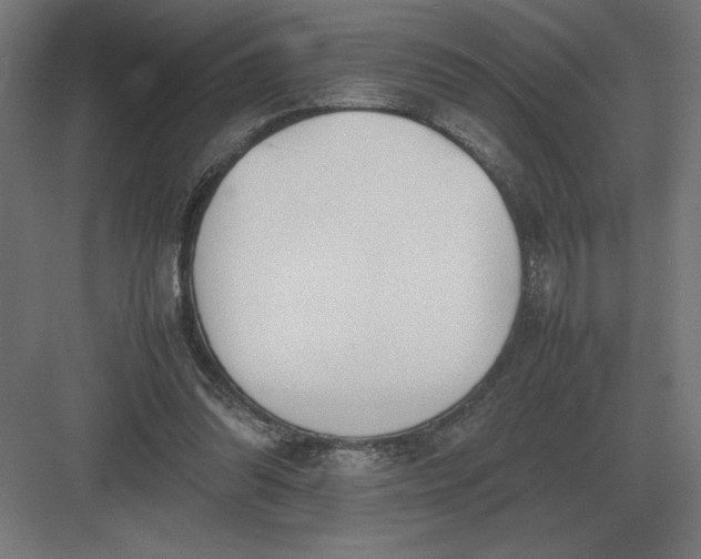 X0000083000302200702160056