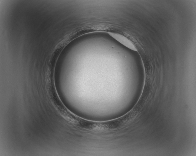 X0000083000303200702160056