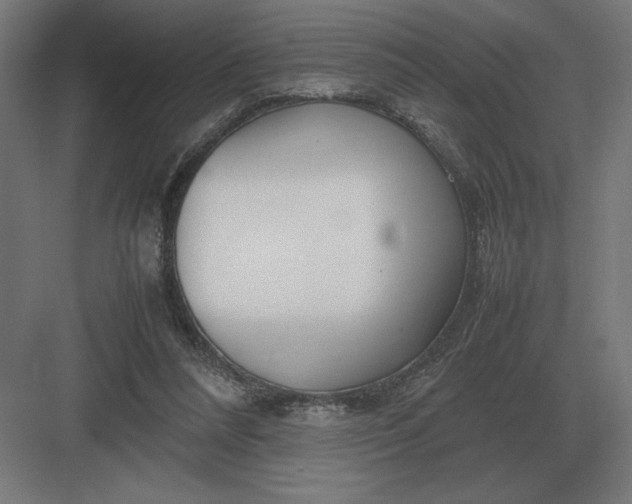 X0000083000304200702160056