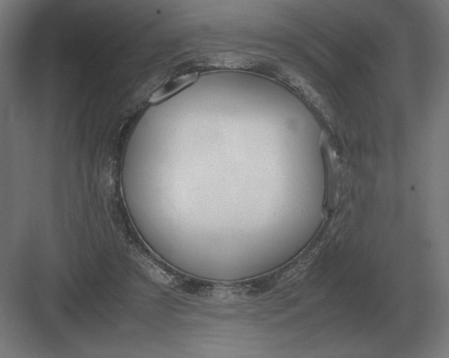 X0000083000305200702160056