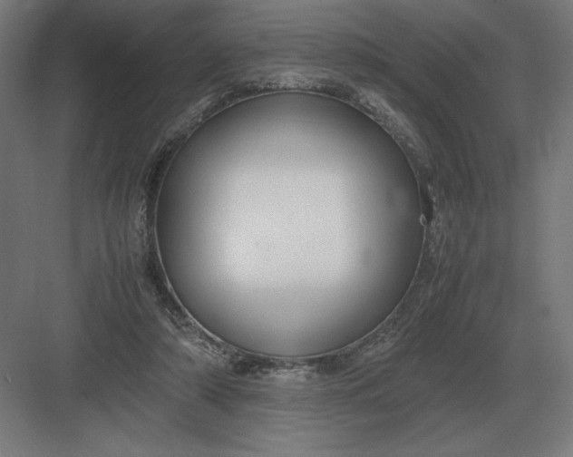 X0000083000306200702160056