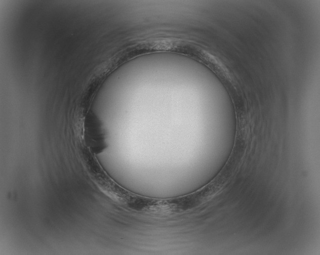 X0000083000307200702160056