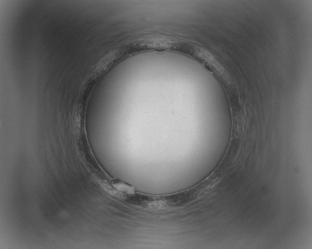 X0000083000309200702160056