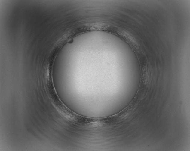 X0000083000310200702160056