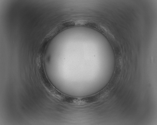 X0000083000311200702160056