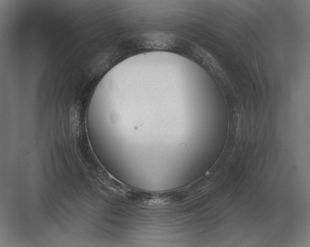 X0000083000312200702160056