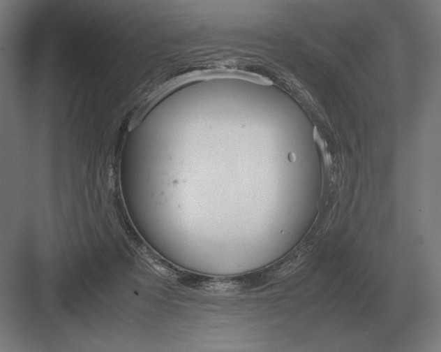 X0000083000313200702160056