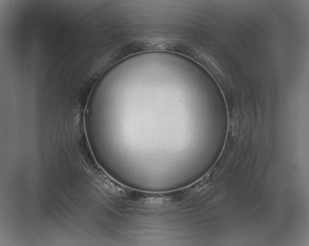 X0000083000314200702160056