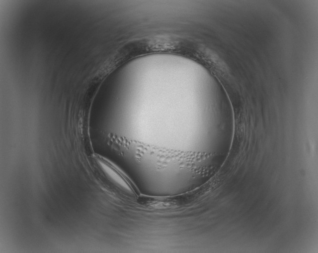 X0000083000315200702160056