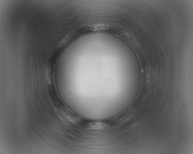 X0000083000316200702160056