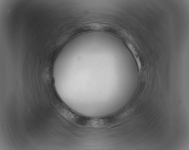 X0000083000317200702160056