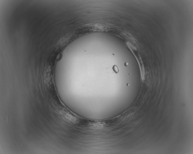 X0000083000318200702160056