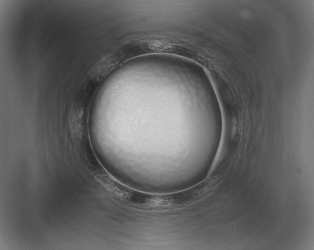 X0000083000319200702160056