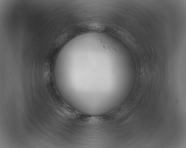 X0000083000320200702160056