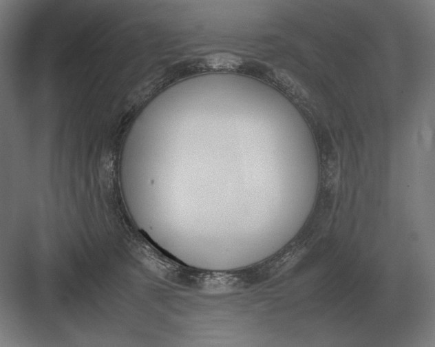 X0000083000321200702160056