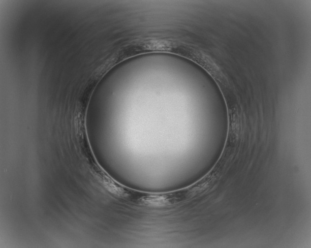 X0000083000322200702160056