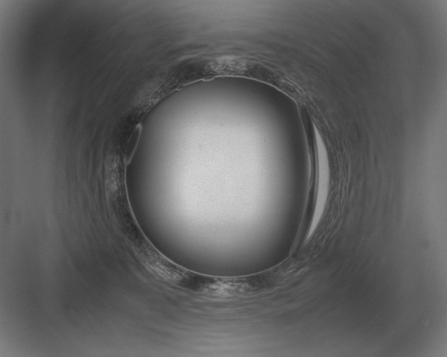 X0000083000323200702160056