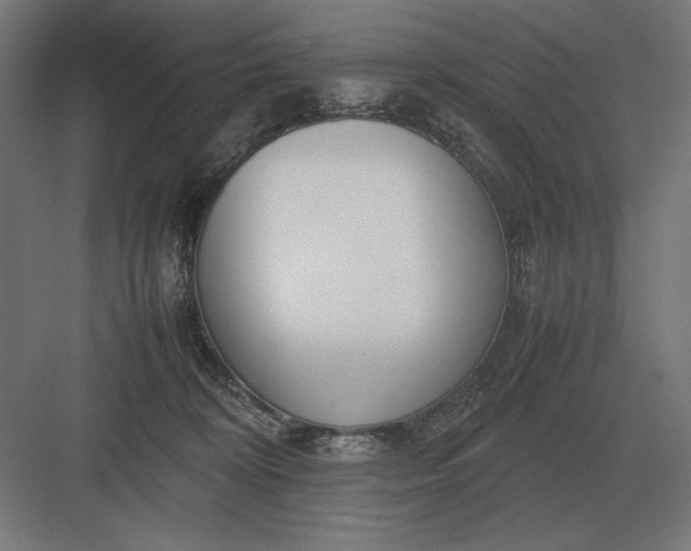 X0000083000324200702160056