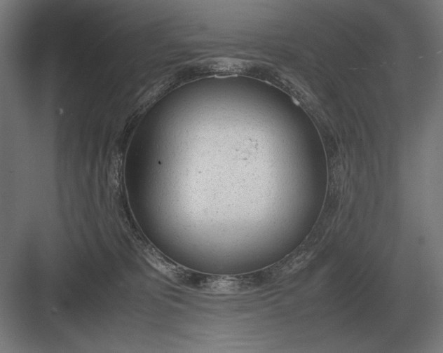 X0000083000325200702160056