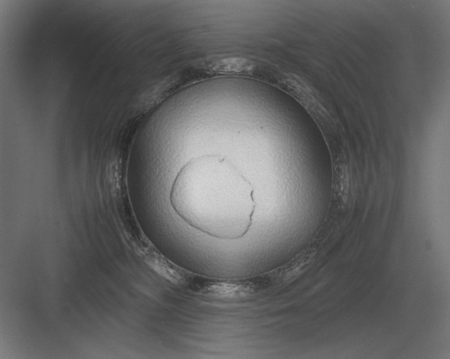 X0000083000326200702160056