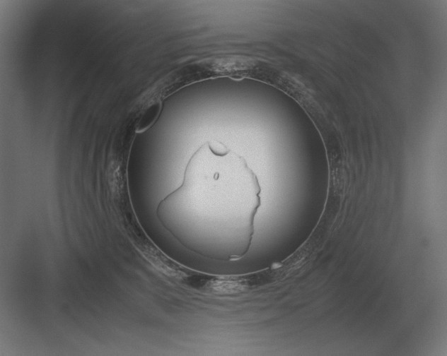 X0000083000327200702160056